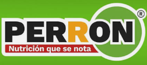 Perrón