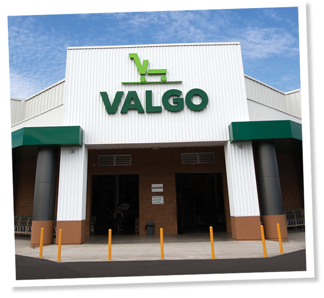 Nosotros Valgo Mayoreo
